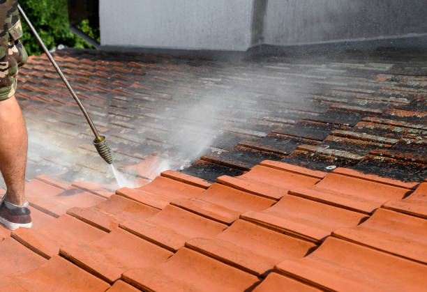 Best Best Pressure Washing Companies  in Spotswood, NJ